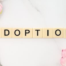 Adoption by a step-parent in The Netherlands