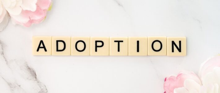 Adoption by a step-parent in The Netherlands
